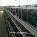 Provide Australia with the most advantageous egg layer chicken cage